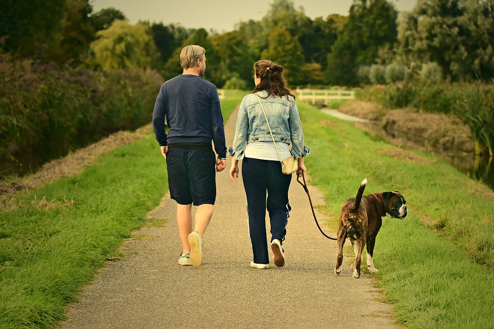 Un homme et une femme se promènent avec un chien. On les voit de dos.